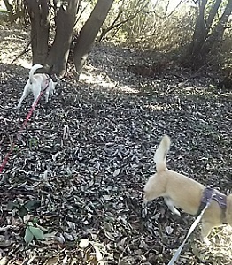 万博公園DSC_0154.JPG