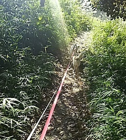 万博公園DSC_0162.JPG