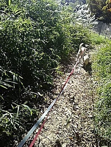 万博公園DSC_0163.JPG