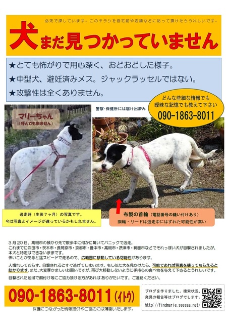 無題.jpg