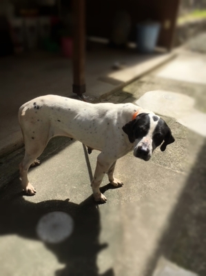 Point Blur_20180507_102711.jpg
