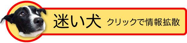 にほんブログ村 犬ブログへ